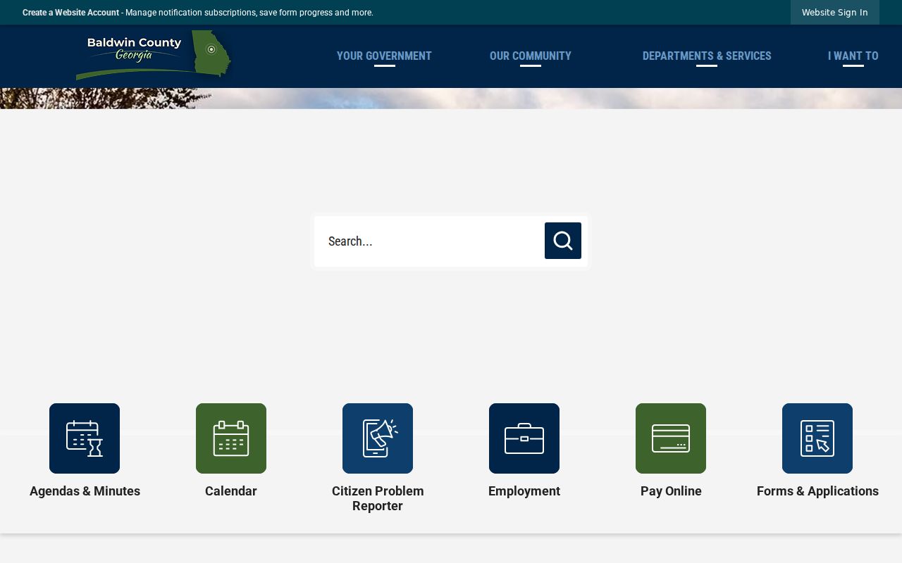 Baldwin County court docket government website